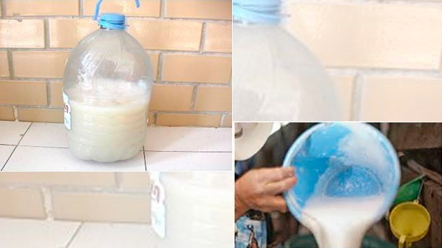 pulque.jpg