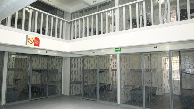 remodelacion3.jpg