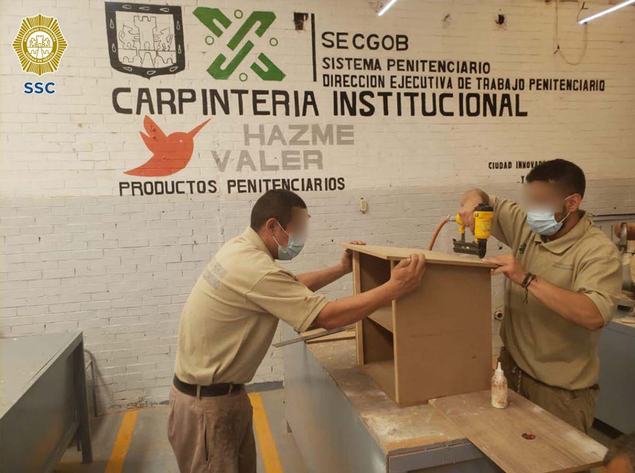 imagen 4.jpg