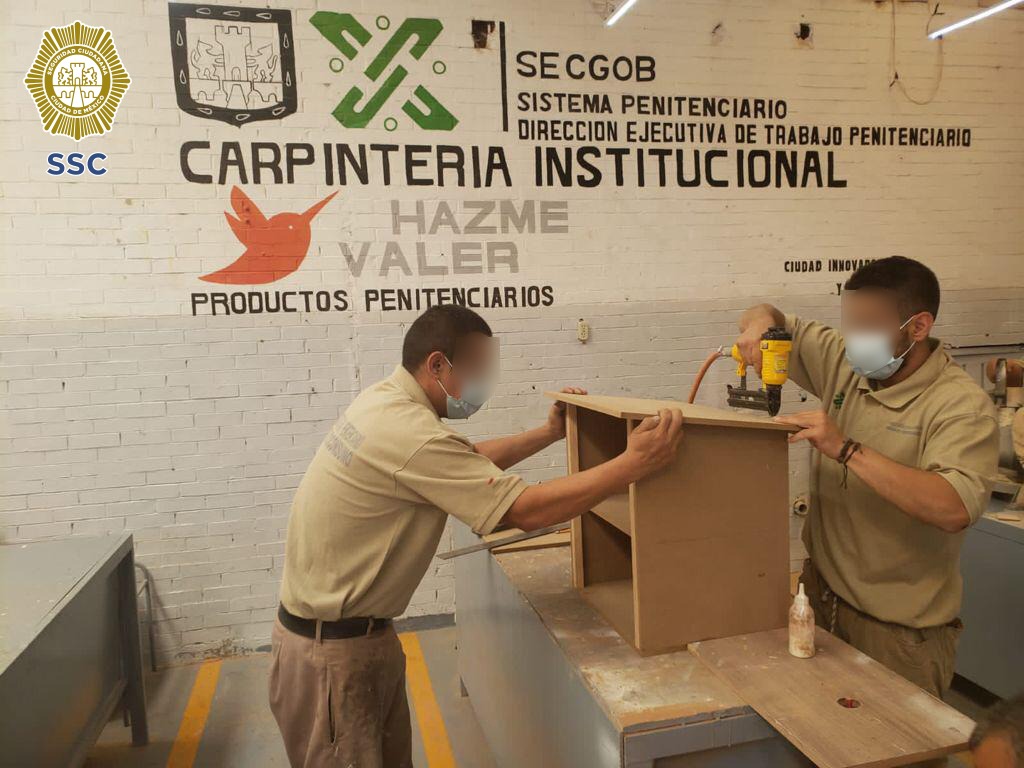 imagen3.jpg