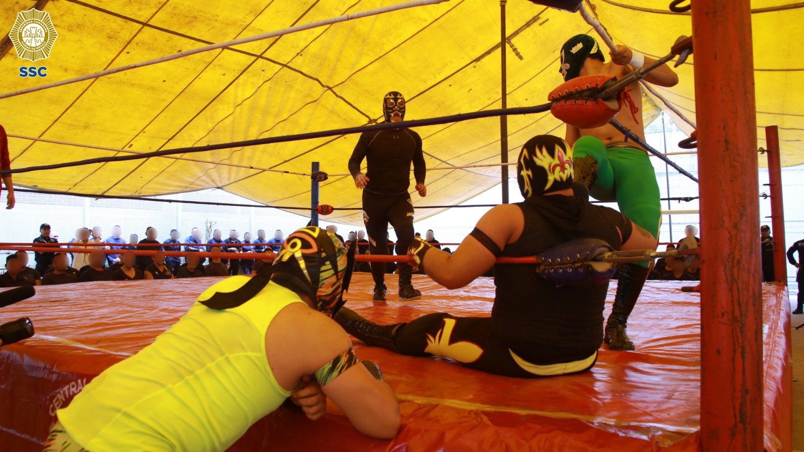 LUCHA LIBRE 3.jpg