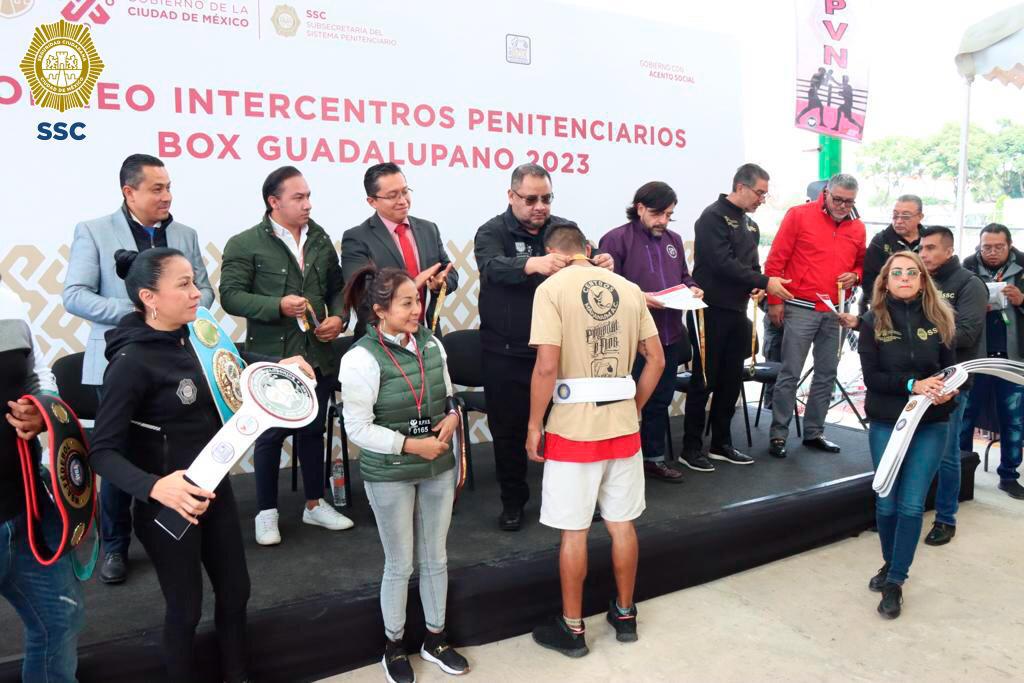 BOX (13).jpeg
