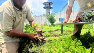 HUERTOS URBANOS, UN MODELO PRODUCTIVO DE REINSERCIÓN EN LOS CENTROS PENITENCIARIOS DE LA SSC
