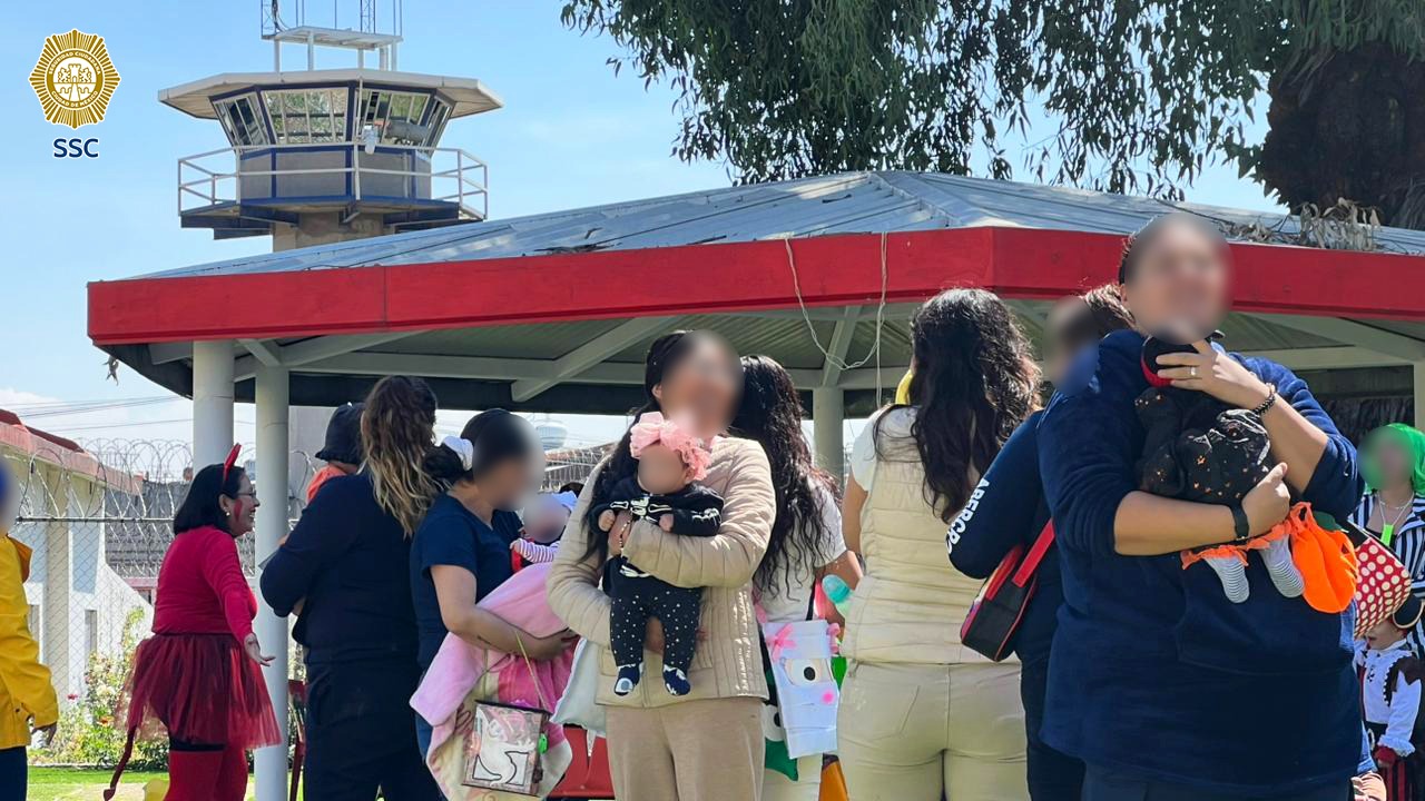 WhatsApp Image 2025-11-11 at 2.36.16 PM.jpeg